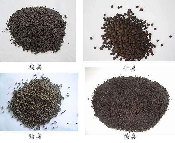 牛糞烘干機處理后的糞便圖